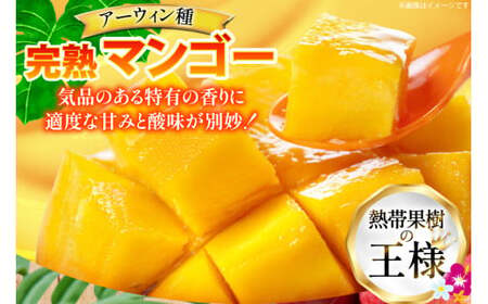 【2027年発送】 マンゴー 完熟 家庭用  アーウィン種 約 2kg (4〜6玉)