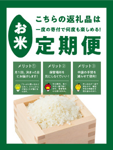 米 こしひかり 5kg × 6回 【 6か月 定期便 】 ( 令和8年産 ) 山岸ファームのお米 沖縄県への配送不可 2026年10月上旬頃から順次発送予定 コシヒカリ 白米 精米 お米 信州 予約 農家直送 長野県 飯綱町 [2002]