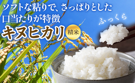 ＜令和7年度 米 キヌヒカリ 精米 5kg＞ 2025年産 きぬひかり お米 コメ こめ 白米 ご飯 ライス りの果樹園 愛媛県 西予市【常温】『2025年10月頃から順次出荷予定』URK0014