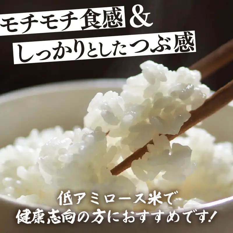 【先行予約】【令和8年産】定期便 ≪3ヶ月連続お届け≫ 化学肥料不使用 ふくむすめ 精米 5kg × 3回（合計15kg） / 白米 米 福井県あわら市産 美味しい 特別栽培米 減農薬 安心な米 旨味 甘み もっちり 冷蔵保管米 ※2026年10月上旬以降順次発送 [aw010-c027]