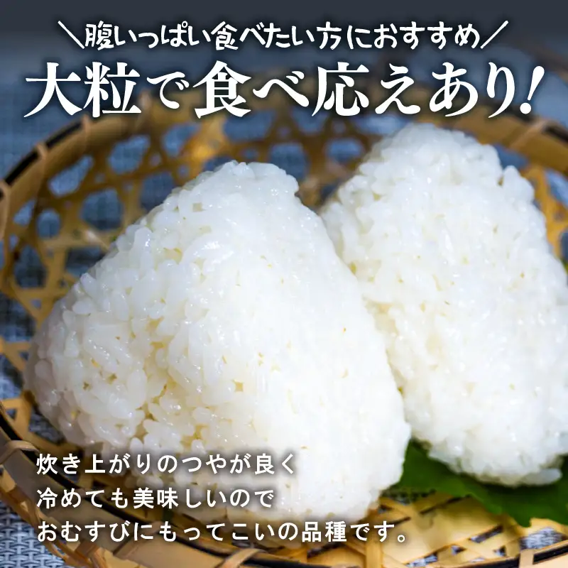 【先行予約】【令和8年産】定期便 ≪6ヶ月連続お届け≫ 化学肥料不使用 虹のきらめき 精米 5kg × 6回（合計30kg） / 白米 米 福井県あわら市産 美味しい 特別栽培米 減農薬 安心な米 旨味 甘み もっちり 冷蔵保管米 ※2026年10月上旬以降順次発送 [aw010-f013]