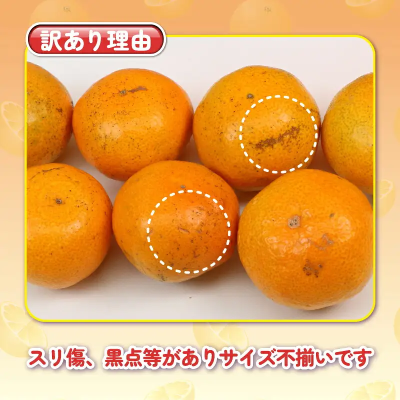 【愛媛みかん】訳あり 南柑20号 みかん 5kg 杉本屋 愛媛 B010-143015