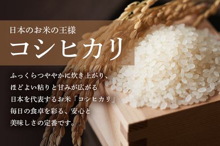 【令和7年産】獅子米 コシヒカリ 精米 5kg 岡田ファーム コンテスト受賞米 お米 白米 米 おこめ ブランド米 こしひかり 5キロ 国産 単一原料米 コメ こめ ご飯 銘柄米 茨城県産 茨城 産直 産地直送 農家直送 ごはん 家庭用 贈答用 お取り寄せ ギフト 茨城県 石岡市 (B02-001)