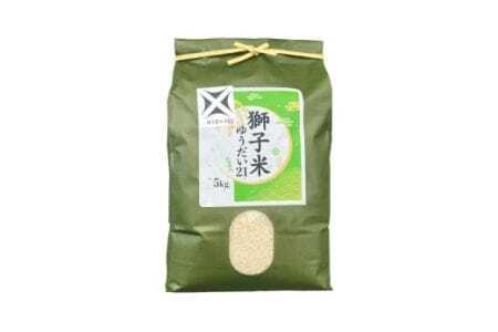 【令和7年産】獅子米 ゆうだい21 精米 5kg 岡田ファーム あなたが選ぶ日本一おいしい米コンテスト 最優秀金賞 受賞 お米 白米 米 おこめ ブランド米 ゆうだい ユウダイ21 5キロ 国産 単一原料米 コメ こめ ご飯 銘柄米 茨城県産 茨城 産直 産地直送 農家直送 ごはん 家庭用 贈答用 お取り寄せ ギフト 茨城県 石岡市 (B02-013)
