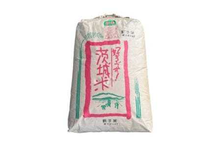 【令和7年産】獅子米 ゆうだい21 精米 10kg 岡田ファーム あなたが選ぶ日本一おいしい米コンテスト 最優秀金賞 受賞 お米 白米 米 おこめ ブランド米 ゆうだい ユウダイ21 10キロ 国産 単一原料米 コメ こめ ご飯 銘柄米 茨城県産 茨城 産直 産地直送 農家直送 ごはん 家庭用 贈答用 お取り寄せ ギフト 茨城県 石岡市 (B02-014)