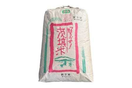 【令和7年産】 獅子米 ゆうだい21 玄米10kg B02-015