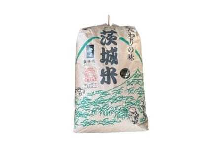 【令和7年産】獅子米 いのちの壱 玄米 30kg B02-020