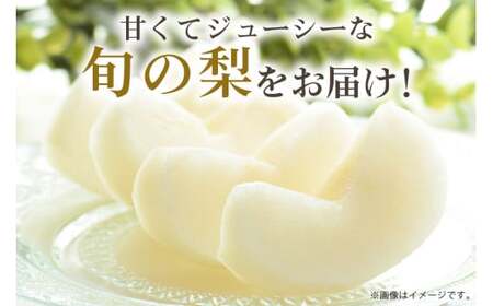 【 2025年 先行予約 】 豊水梨 3L～5L （二段 10kg ）梨 約 20玉 ～ 28玉 品種 幸水 なし ナシ 果物 フルーツ 大玉 5L 4L 3L サイズ 10キロ 8月 発送 夏 旬 産地直送 農家直送 産直 国産 くだもの 甘い 酸味 茨城県産 茨城県 石岡市 (A15-003)