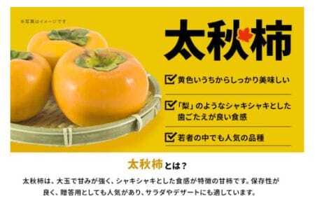 【 2025年 先行予約 】 太秋柿 2L 12玉 坂川果樹園 柿 甘い柿 大玉 かき 太秋カキ 甘い 果物 フルーツ くだもの カキ 太秋かき 秋 旬 甘柿 糖度 贈答用 贈答品 ギフト 贈り物 品種 ブランド 10月 11月 発送 産地直送 農家直送 産直 茨城県 石岡市 (A20-004)