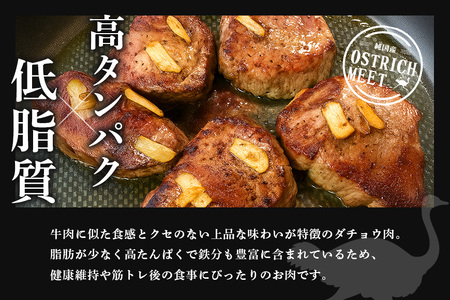 ダチョウ 上フィレ肉 ステーキ用 1kg ダチョウ肉 赤身肉 ヘルシー 低脂肪 低カロリー 高たんぱく質 鉄分 豊富 真空パック 上質 抗生物質不使用 成長ホルモン不使用 国産 ダイエット 健康志向 グルメ ギフト 産地直送 (C05-007)