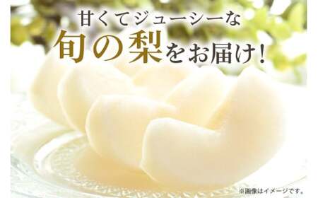 【 2025年 先行予約 】 新高梨 5L～6L（二段10kg）梨 約 16玉 ～ 20玉 品種 新高 にいたか なし ナシ 果物 フルーツ 大玉 6L 5L サイズ 10キロ 9月 10月 発送 秋 旬 産地直送 農家直送 産直 国産 くだもの 甘い 糖度 茨城県産 茨城県 石岡市 (A15-002)
