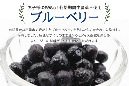 冷凍 ブルーベリー 1.5kg ダチョウ王国産 ( 500g 3パック ) 完熟 1.5キロ 果物 フルーツ 国産 産地直送 農家直送 産直 くだもの スムージー ジャム ヨーグルト デザート 茨城 茨城県 石岡市 (C05-002)
