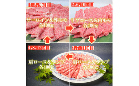 BL033_【毎月15日冷蔵でお届け】佐賀牛スライス定期便800g×12か月【”0度20日間熟成”のウェットエイジング技法】