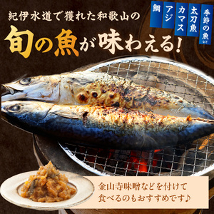 【1180】【国産】紀州特産干物詰合せ　大セット
