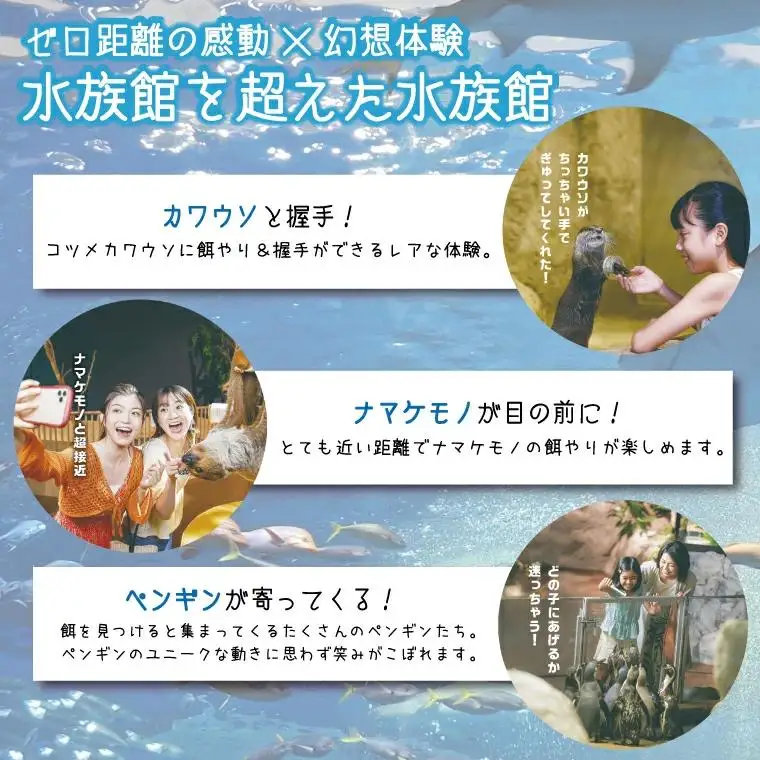 「DMMかりゆし水族館」入場券 大人1名(18歳以上)