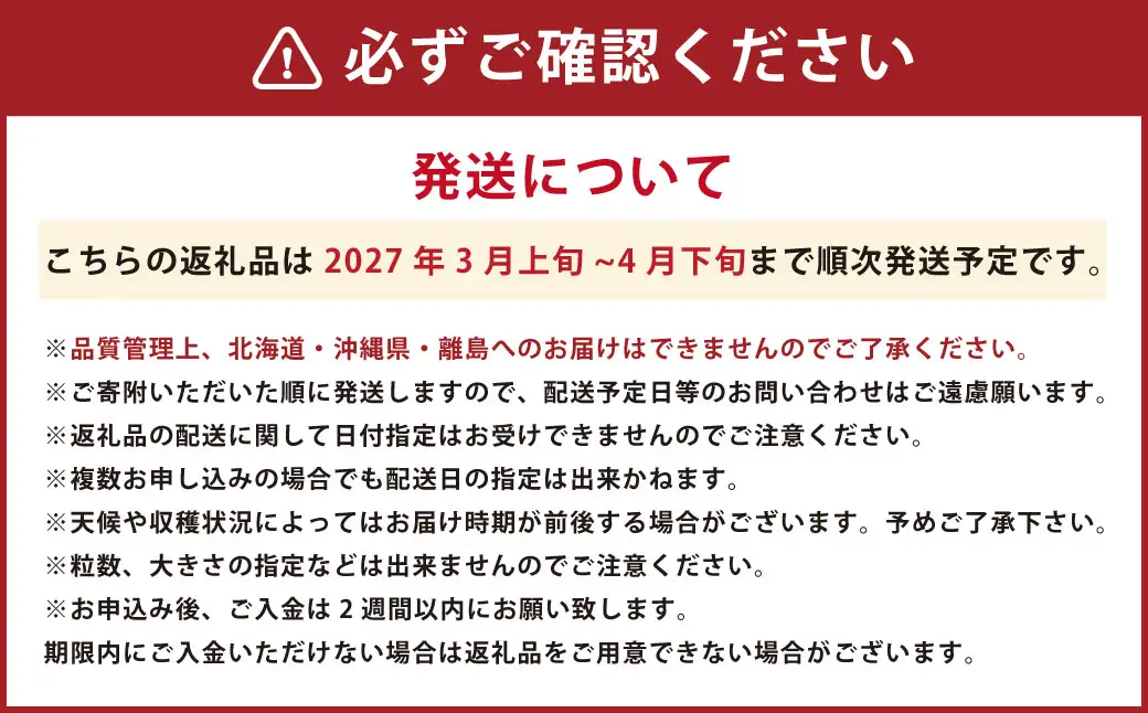 春のあまおう 2L・2A・G規格以上 約250-270g×4パック 苺 イチゴ あまおう くだもの 果物 フルーツ 【2027年3月上旬～4月下旬発送予定】