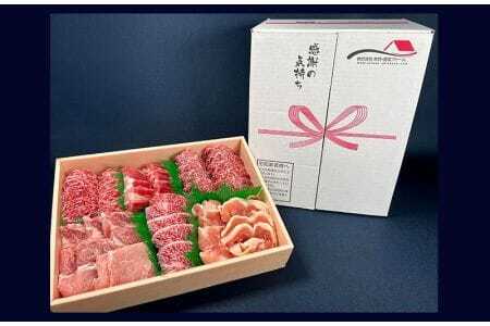 佐賀県産厳選6種焼肉盛り合わせ　1000ｇ（2～3人前） 180-J1634
