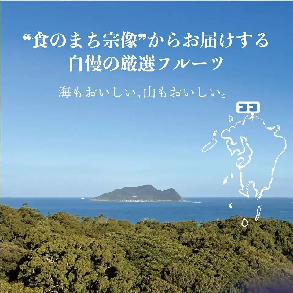 訳あり冷凍いちじく「とよみつひめ」3kg【JAほたるの里】_HA1678