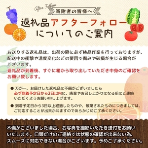 【全4回】紀州和歌山産旬のフルーツセット(巨峰・シャイン・みかん・不知火) / 果物定期便 フルーツ定期便 みかん オレンジ 柑橘 くだもの 果物 シャイン マスカット ぶどう 巨峰 しらぬい 不知火【UT123】【tkb399】 