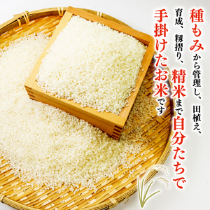 令和7年 新米 米 はるみ 5kg こめ 甘い ツヤ キヌヒカリ コシヒカリ kome  お米 白米 ご飯 ごはん 弁当 お弁当 おにぎり はくまい 美味い   精米 ブランド米 湘南生まれ 藤沢産  ランキング 最高評価 「 特A 」神奈川ワークショップ	 神奈川 湘南 藤沢