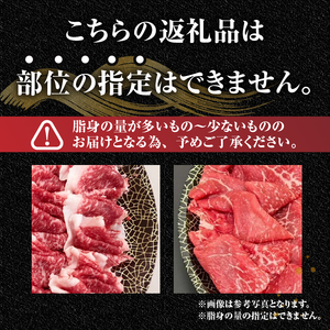 【冷凍】前沢牛 皿盛り 切り落とし すき焼き・しゃぶしゃぶ用 1kg 極上品 名牛 ブランド牛 料理 焼肉 ごはん おかず 部位指定不可 [BT013]