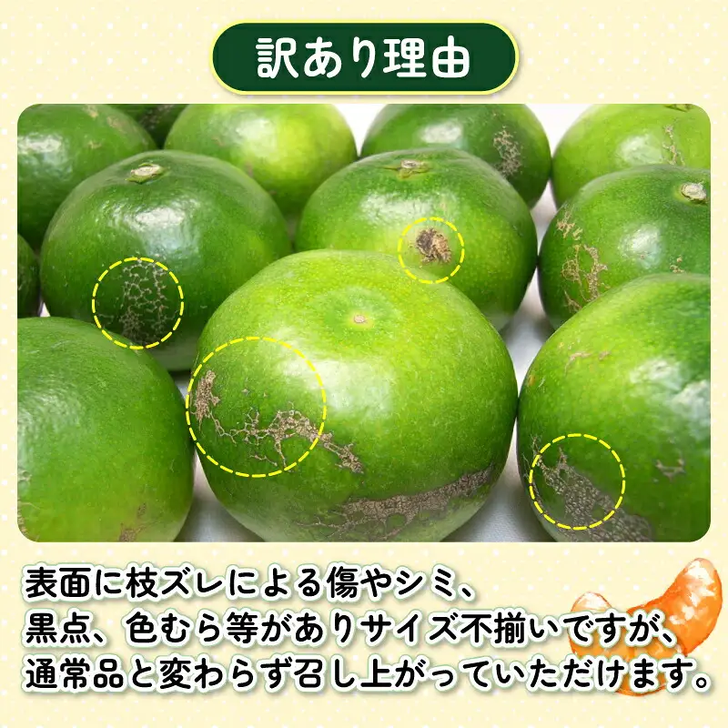 温州みかん 訳あり 極早生 7kg 杉本屋 温州みかん B010-143022