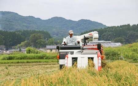 【令和8年産】大蛇の瞳 白米 4kg 《11月上旬-6月末頃出荷》精米 熊本県 南関町産 単一原料米 コシヒカリ 産地直送 コメ お米 ごはん