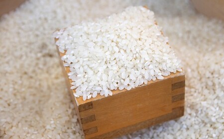 【5回定期便】【令和8年産】大蛇の瞳 白米 10kg×5回 《お申込み翌月から出荷》精米 熊本県 南関町産 単一原料米 ヒノヒカリ 産地直送 コメ お米 ごはん