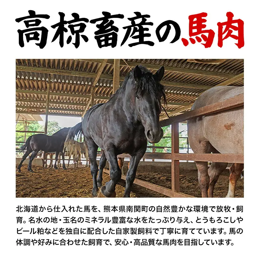 馬肉 自家牧場産 馬刺し フルコース 食べ比べ セット 1130g 高椋畜産《60日以内に出荷予定(土日祝除く)》
