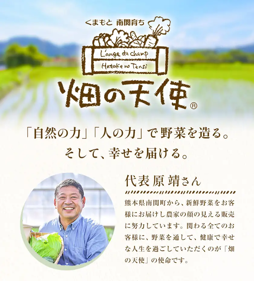 野菜 詰合せ 7～9品 米 2kg 1回《60日以内に出荷予定(土日祝除く)》畑の天使