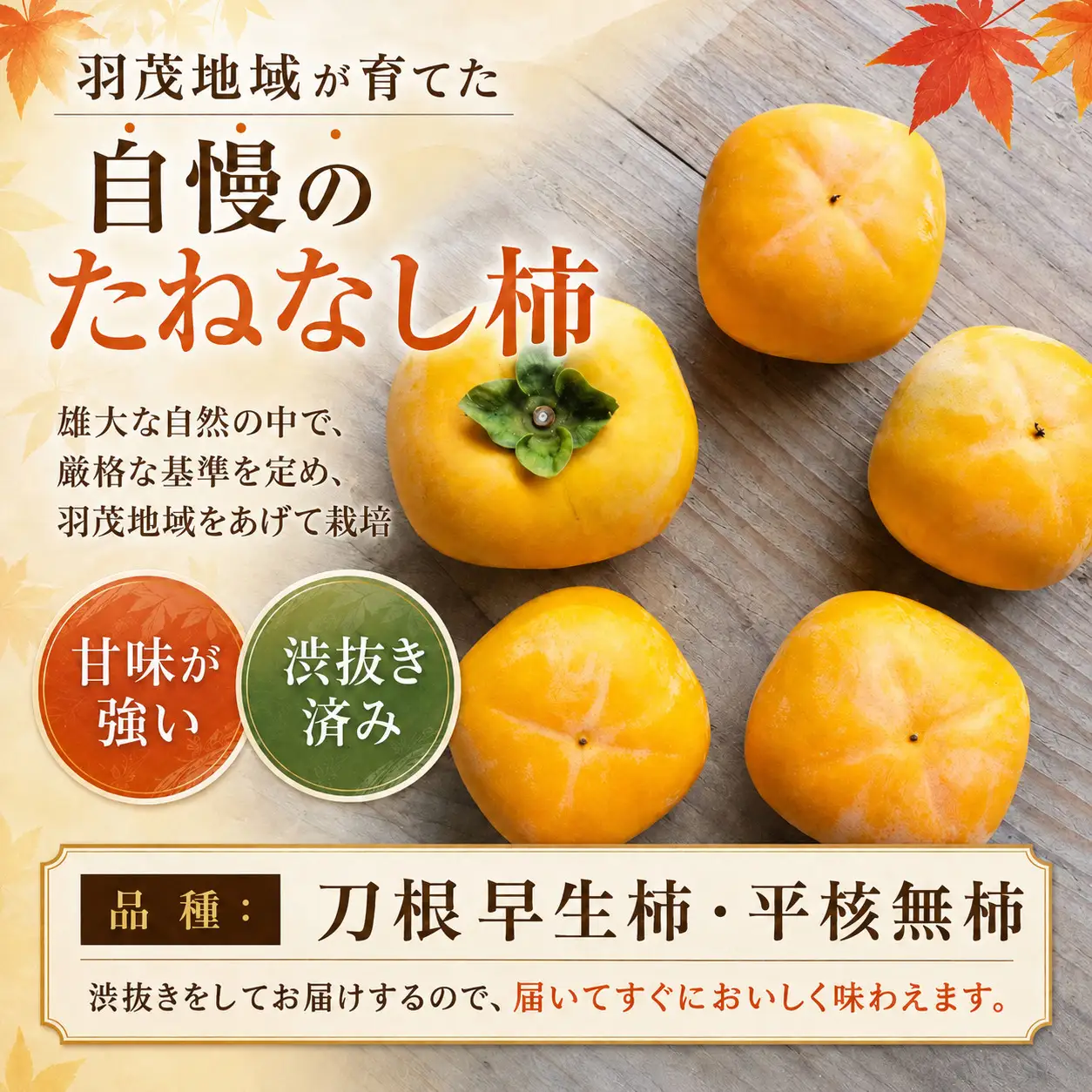 柿 たねなし柿 10kg 訳あり
