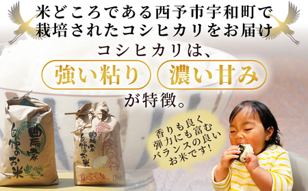 【先行予約】新米 ＜令和8年産 コシヒカリ「つるの寝どこまい」約5kg 西予市宇和町産＞2026年産 こしひかり お米 コメ こめ 白米 精米 ご飯 ごはん 穀物 ライス SDGs 共生 楠 健明 愛媛県 西予市【常温】『2026年9月上旬から順次出荷予定』 UKK0001
