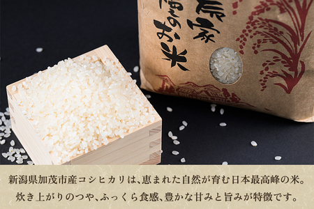 新潟県加茂市産コシヒカリ 精米 5kg