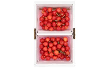 《2027年発送先行予約》さくらんぼ佐藤錦 約700g（約350g×2P） L以上化粧箱 果物 くだもの フルーツ 夏果物 サクランボ F4A-0947