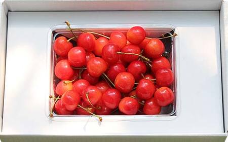《2027年発送先行予約》さくらんぼ佐藤錦 約500g L 秀化粧箱 果物 くだもの フルーツ 夏果物 サクランボ F4A-0948