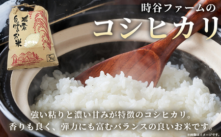 ＜令和7年産 西予市宇和町産 コシヒカリ 約10kg＞ お米 コメ こめ 白米 精米 ご飯 穀物 こしひかり 西予米NO.1コンテスト 最優秀賞 受賞 特産品 愛媛県産 西予市産 宇和町産 時谷ファーム 愛媛県 西予市 【常温】UTF0002