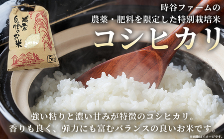 ＜令和7年産 西予市宇和町産 特別栽培米 コシヒカリ 約5kg＞ お米 コメ こめ 白米 精米 ご飯 穀物 こしひかり 西予米NO.1コンテスト 優秀賞 特産品 愛媛県産 西予市産 時谷ファーム 愛媛県 西予市 【常温】UTF0003