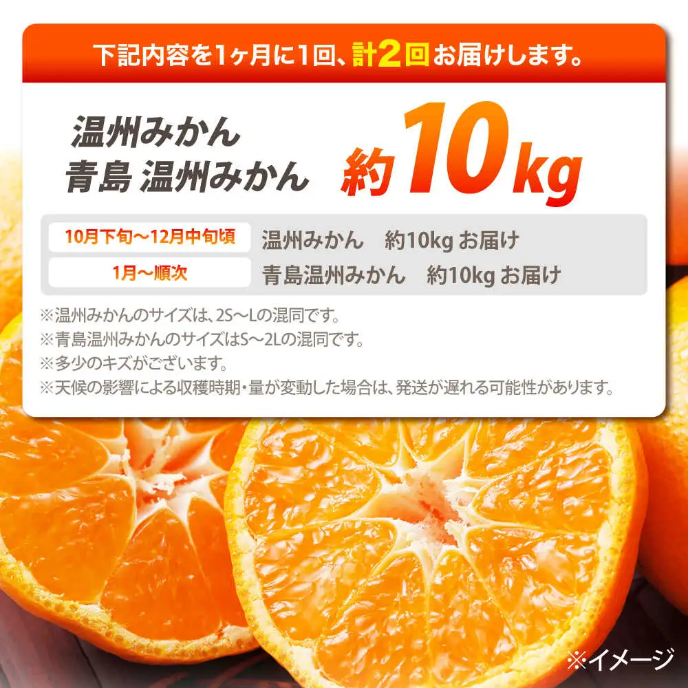 【2026年10月下旬-発送】【2回定期便】温州みかん 食べ比べ 10kg×2回 [SCQ004] 柑橘みかん オレンジみかん