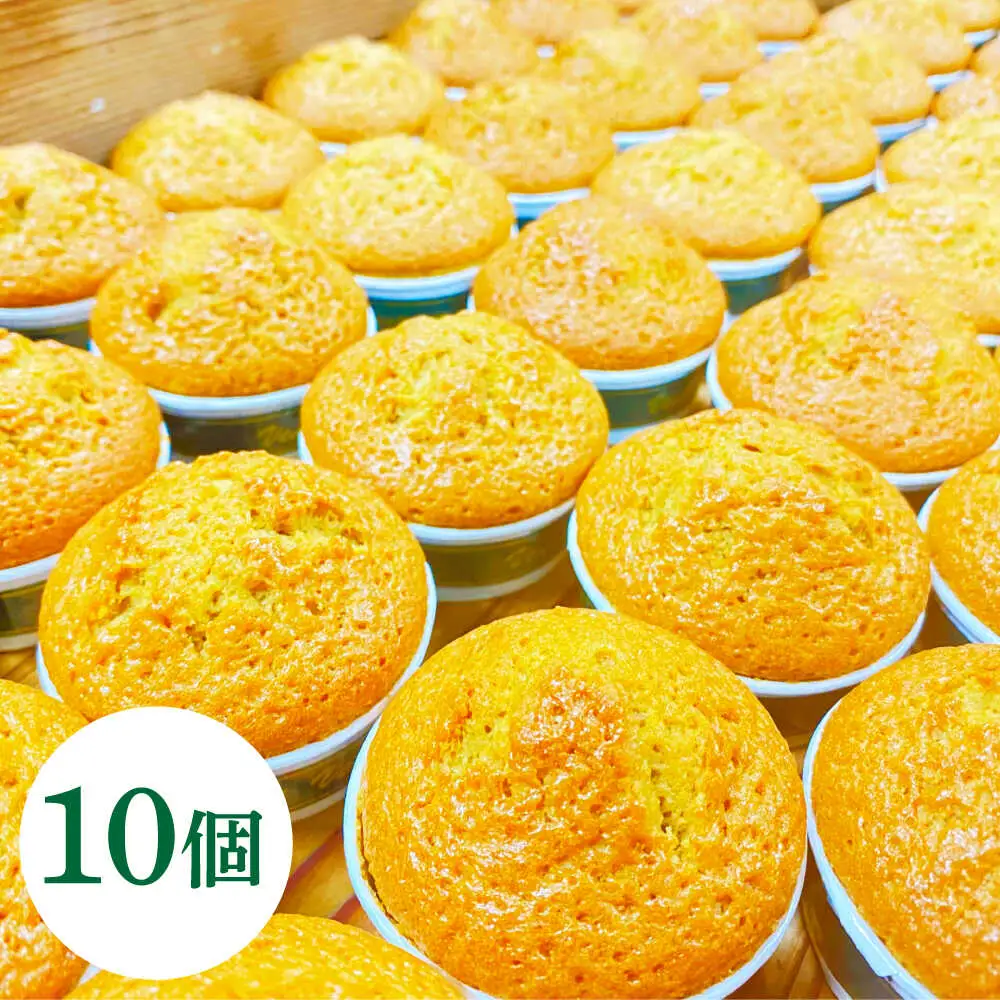 【地元産のオリーブ使用】 オリーブ の マドレーヌ 10個入り / 焼き菓子 焼菓子 スイーツ スペイン菓子 / 南島原市 / 吉田菓子店[SCT047]