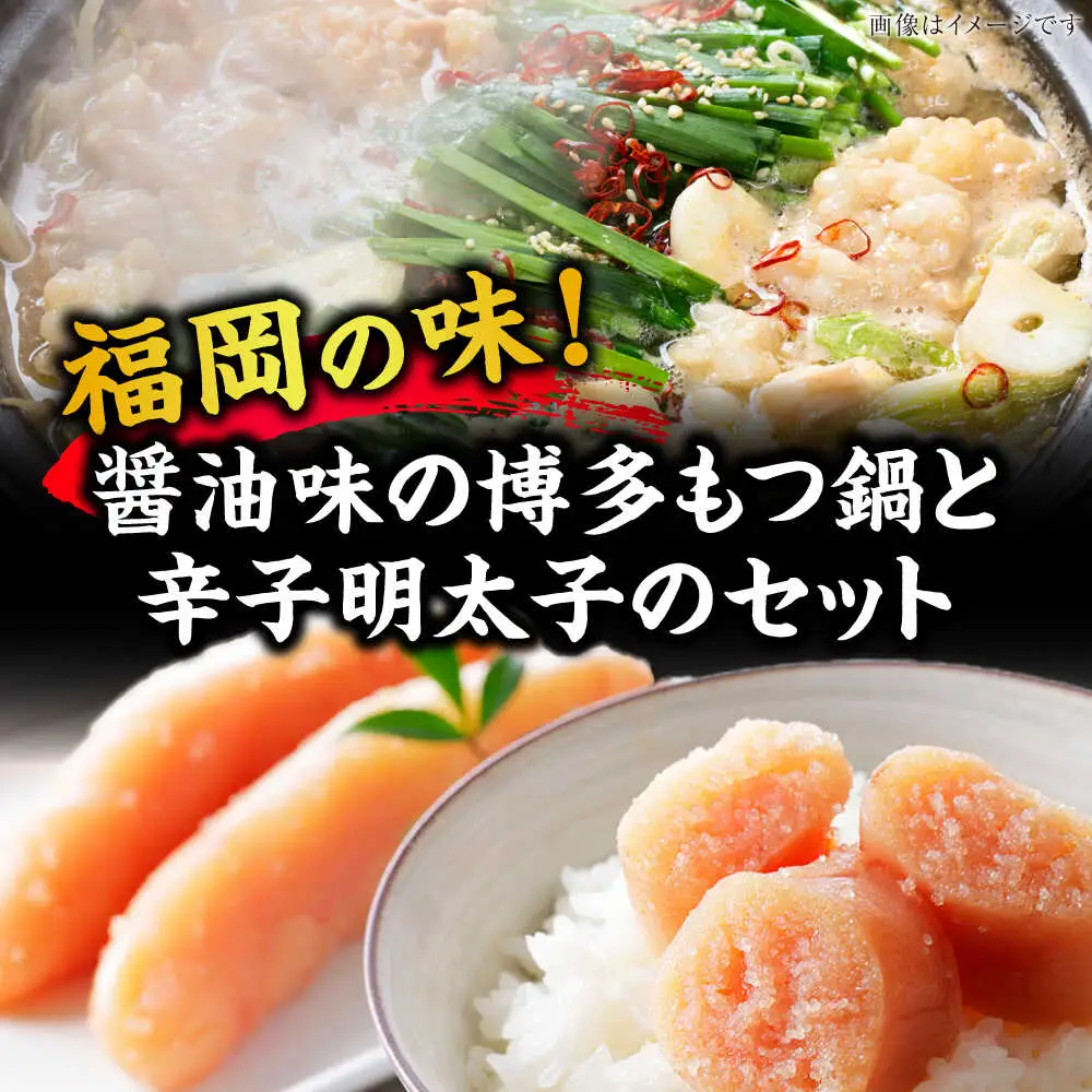 【全12回定期便】博多 醤油 もつ鍋 2人前 と 辛子明太子 (切子) 1個セット [VDZ111] もつなべ バラ 明太子