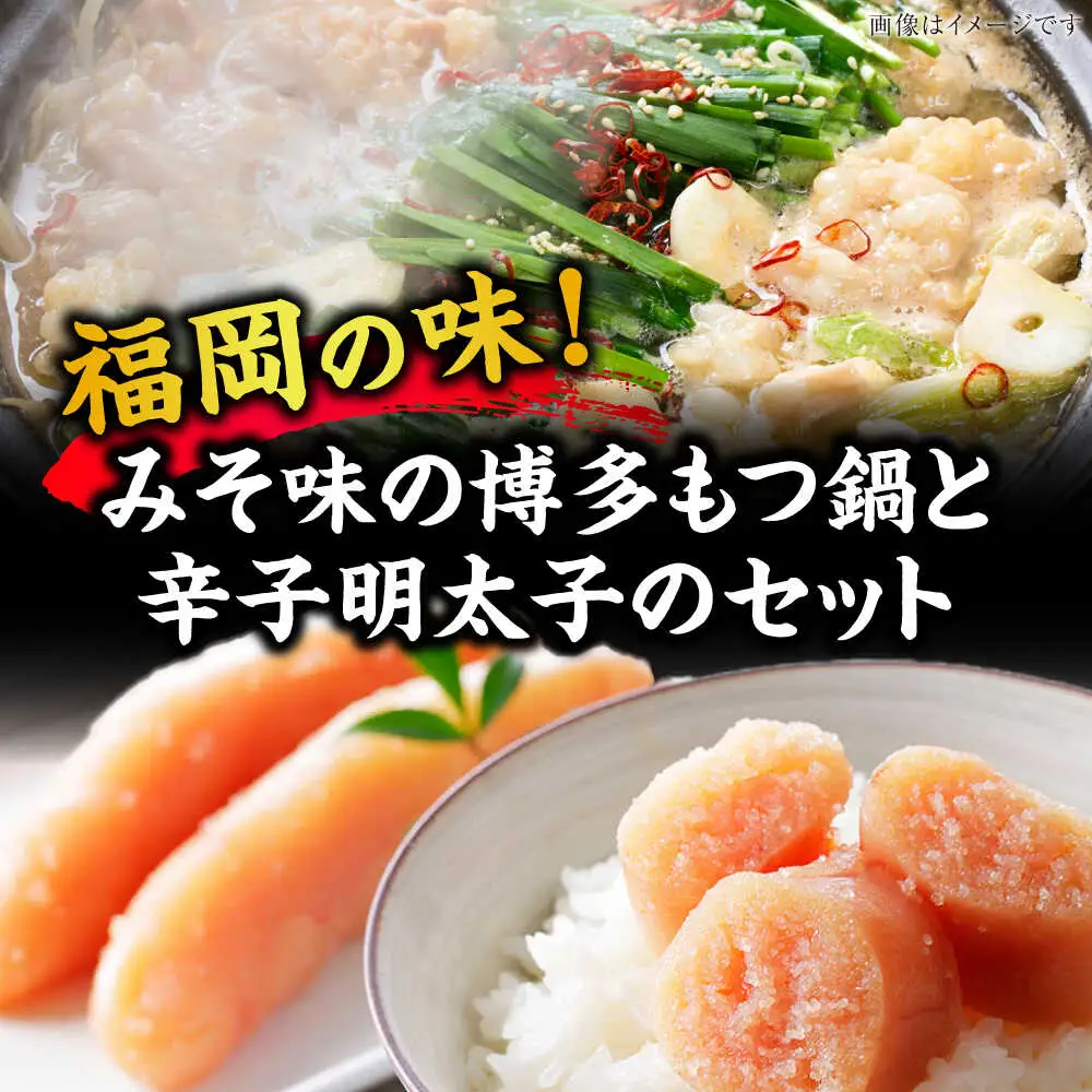 【全2回定期便】博多 味噌 もつ鍋 2人前 と 辛子明太子 (切子) 1個セット [VDZ104] もつなべ バラ 明太子