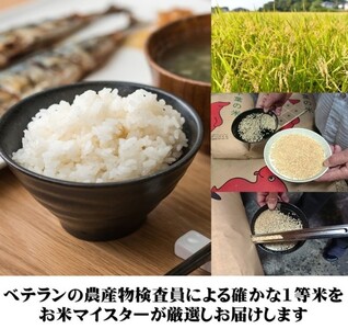 千葉県産コシヒカリ 2kg  五つ星 お米マイスター 根本商店