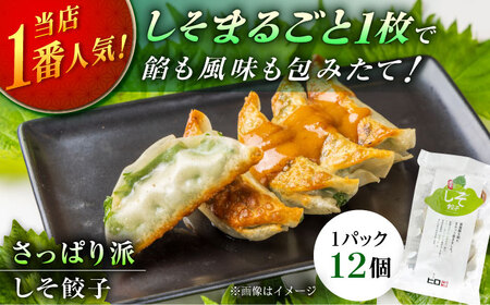 【さっぱり！しそ＆しょうが派×3パック】餃子2種セット！餃子 ぎょうざ[BDAS008-6]