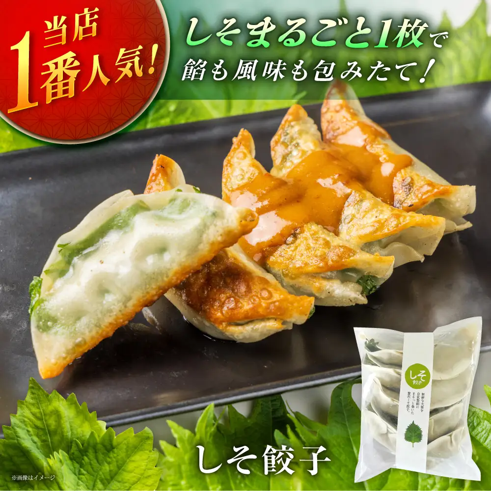 【ふるなびWEEK対象】餃子屋ヒロの3種食べ比べセット 餃子 ぎょうざ[BDAS002] 