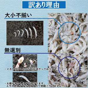 訳あり 釜揚げ しらす 2kg 釜揚げしらす 米 に合う 【AIS0111】