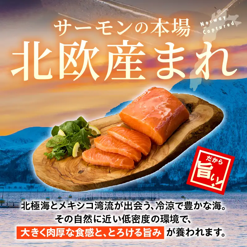 アトランティックプリンスサーモン(プレミアム)500g アトランティックプリンスサーモン モウイプリンス サーモン 鮭 お寿司 寿司 刺身 にぎり寿司 カルパッチョ サラダ グリル