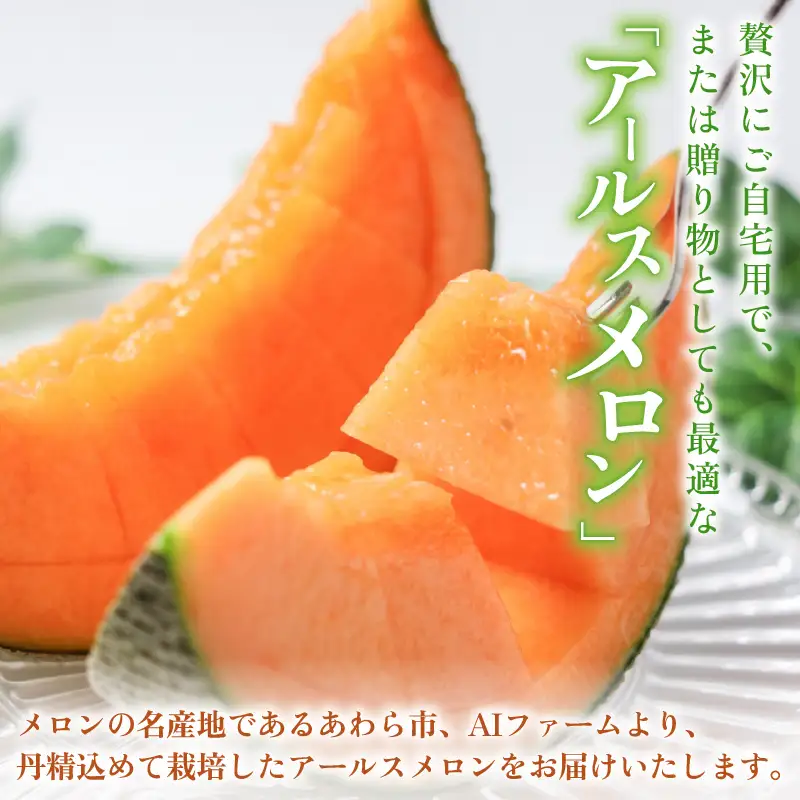 【先行予約】アールスメロン 2玉（約3.2kg以上）赤肉品種 高級メロン！ ／ マスクメロン 大玉 果物 フルーツ 夏 ギフト 農家直送 ※2027年6月下旬以降順次発送 [aw065-a014]