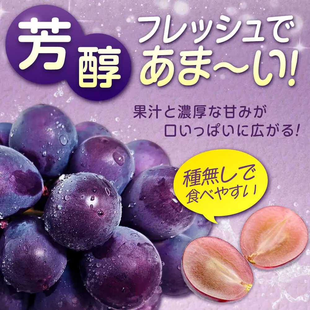 【期間限定/8月下旬から9月上旬頃発送】 沼隈ぶどう「ピオーネ」 約2kg×3[BAEV007] ぶどう