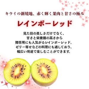 【2026年度】  キウイ レインボーレッド 3kg キウイフルーツ キウイ 国産  ビタミンC 果物 フルーツ 数量限定 期間  限定  フルーツ 果物 食物繊維 朝ごはん デザート ヘルシー  酸味 甘い くだもの 朝食 スムージー ヨーグルト 栄養補給 レッド レッドキウイフルーツ 期間限定 数量限定 限定 先行予約