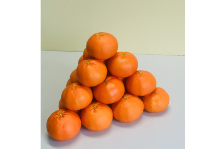 【先行予約】【数量限定】田縁農園の早生みかん（生果）5kg （2026年11月10日より順次発送） IKTA001
